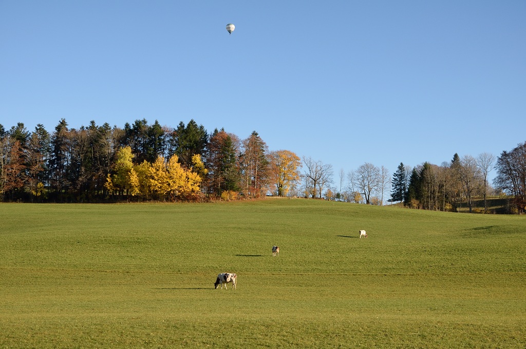 t jura 0506