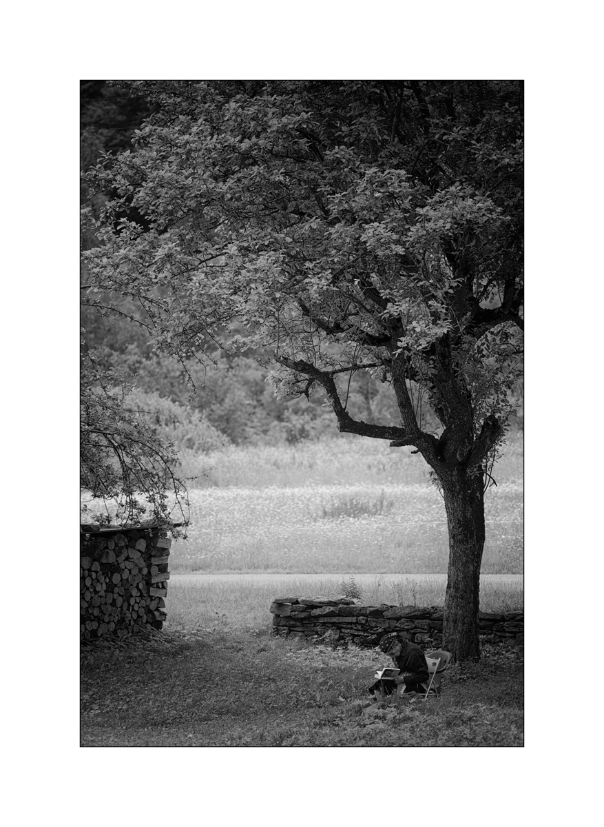 T19D4F_0825.jpg