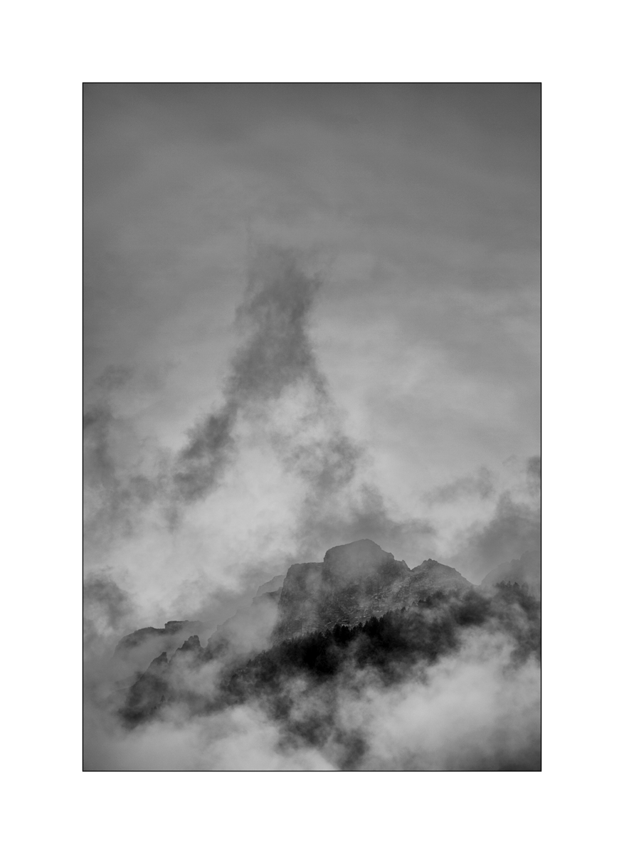 T19D4F_1006.jpg