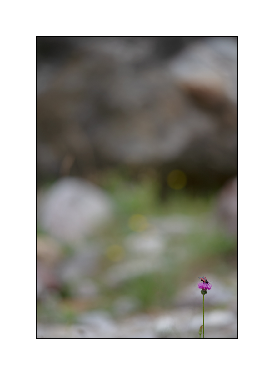 T19D4F_1029.jpg