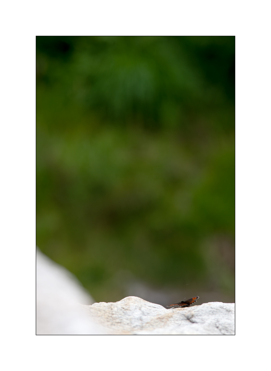 T19D4F_1305.jpg