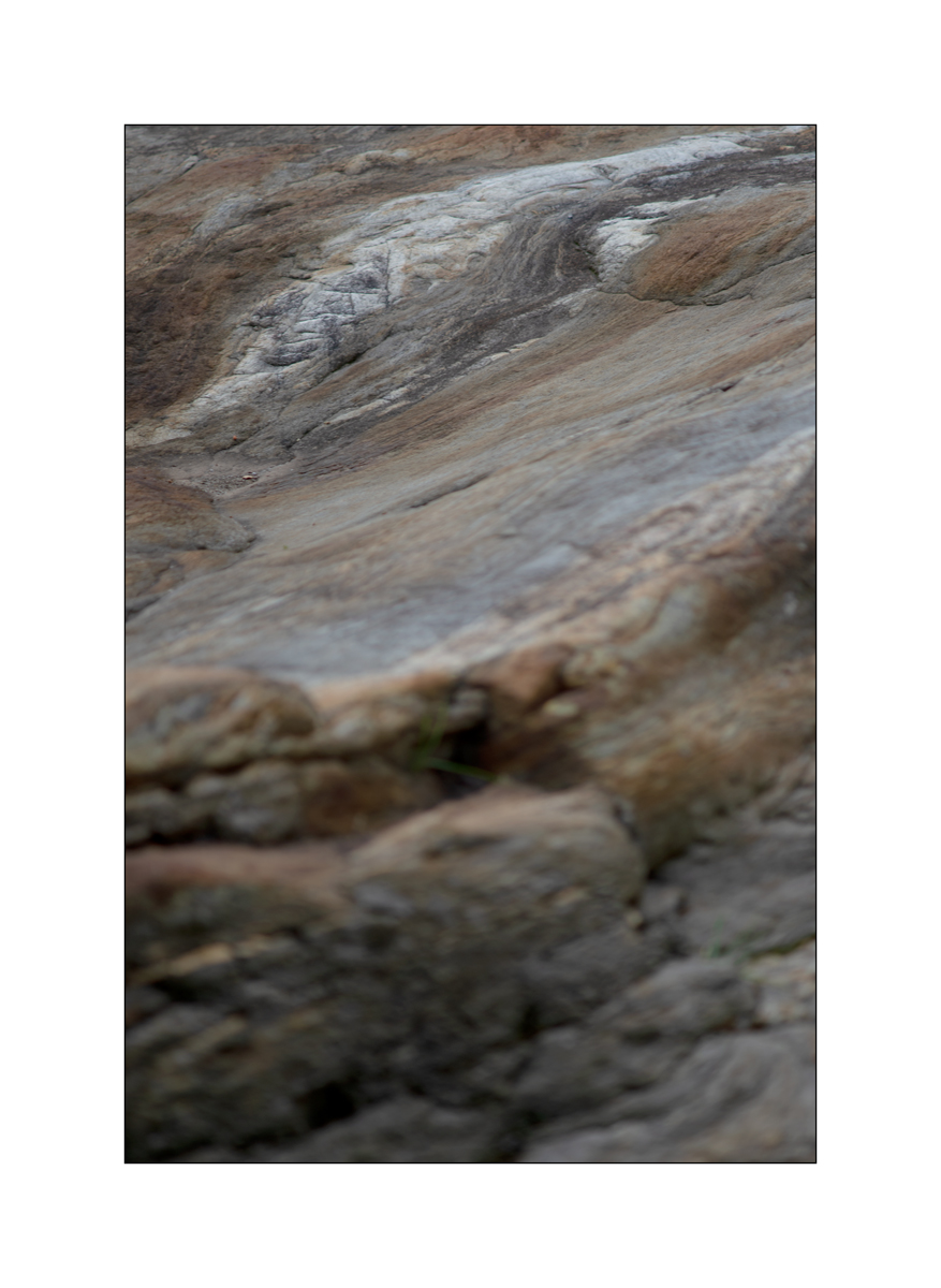 T19D4F_1410.jpg