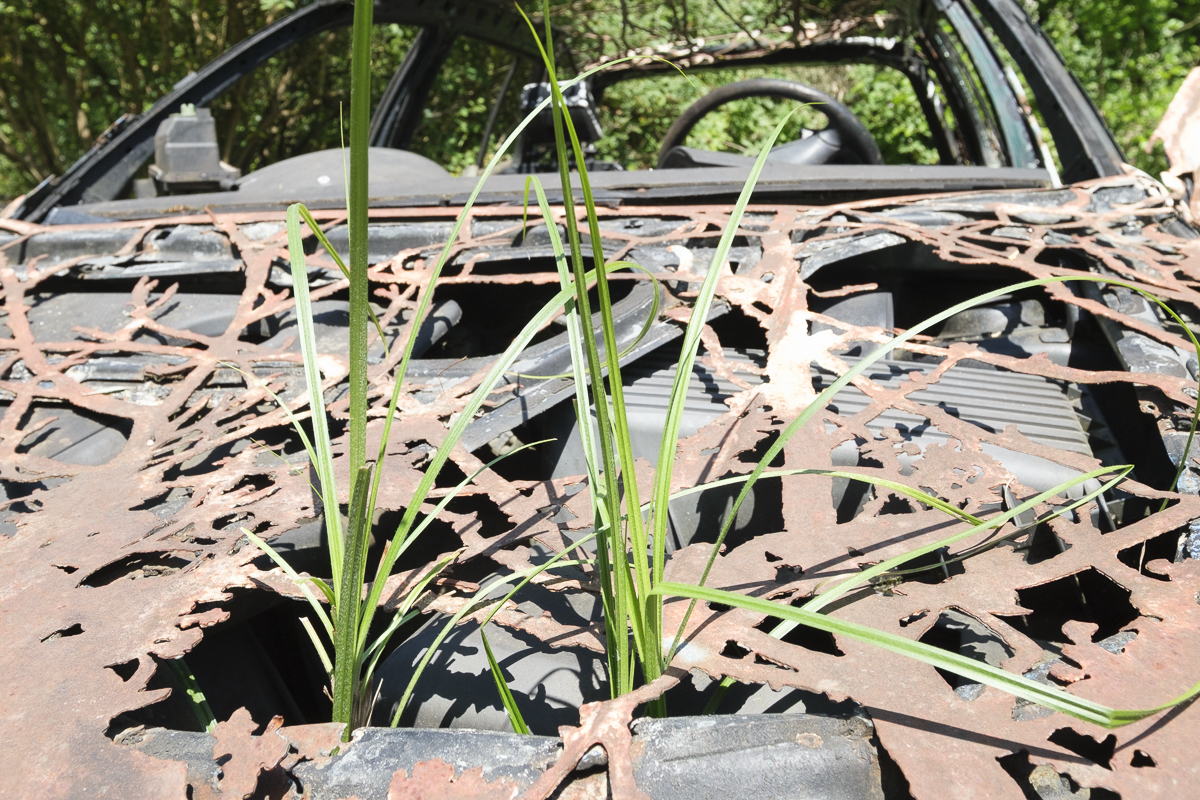 T51X1172-1.JPG