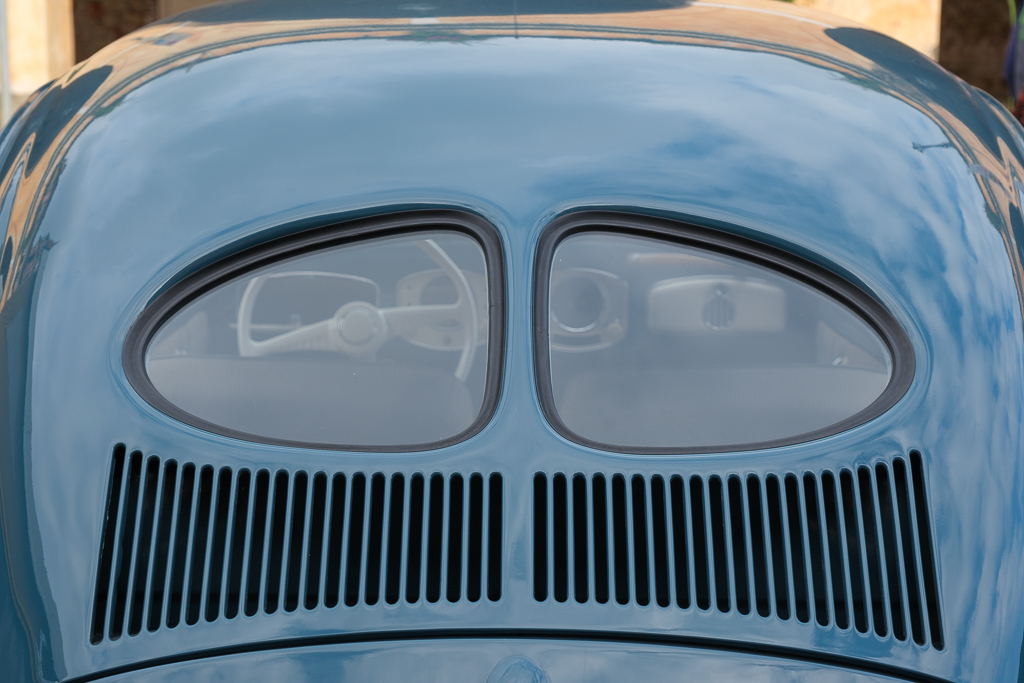 T51X2055-1.jpg