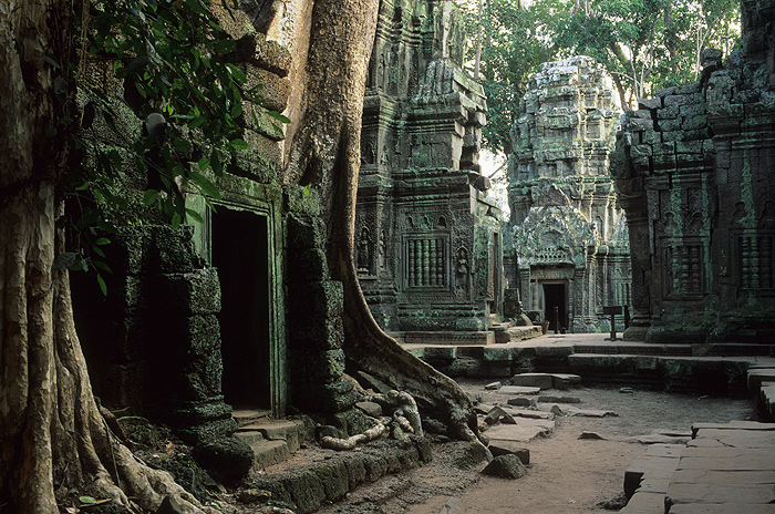 Ta Prohm - Innenhof

[ Nikon F6 | AF-S 28-70mm/2.8 | Fuji Velvia 50 ]