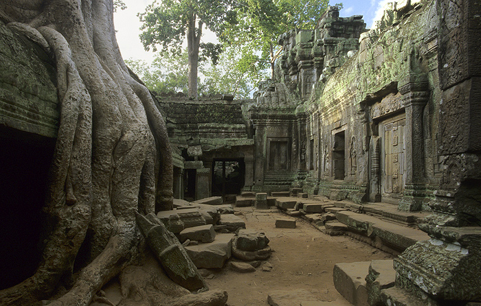 Ta Prohm - Wurzelriese

[ Nikon F6 | AF-S 17-35mm/2.8 | Fuji Velvia 50 ]
