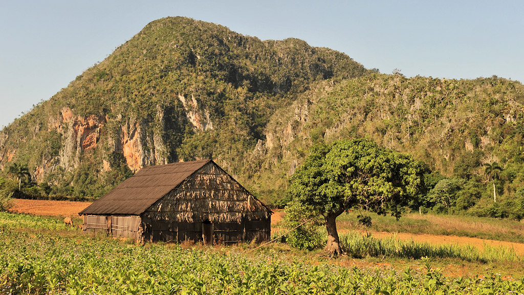 Tabakschuppen im Valle de Vinales
6107