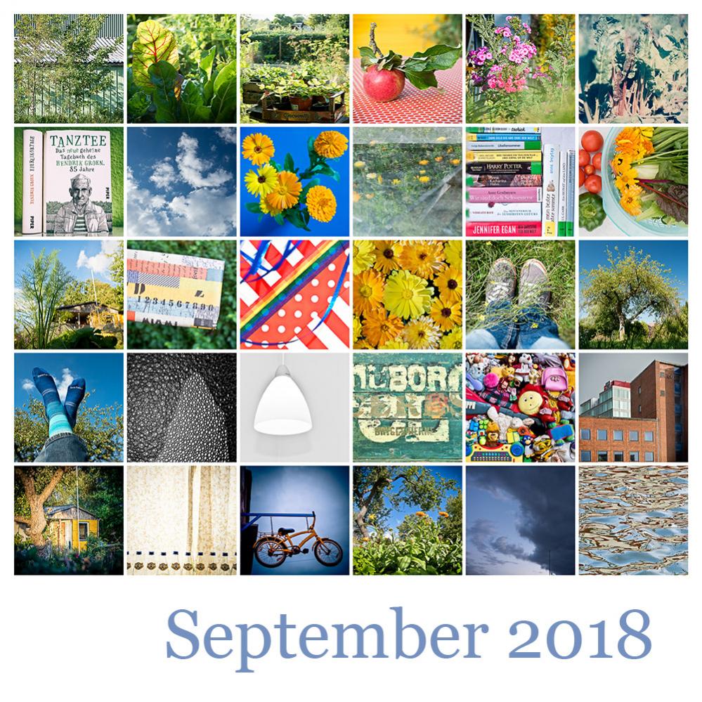 Tableau Mosaic 2018 09