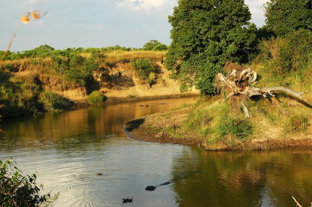 Talek River Massai Mara