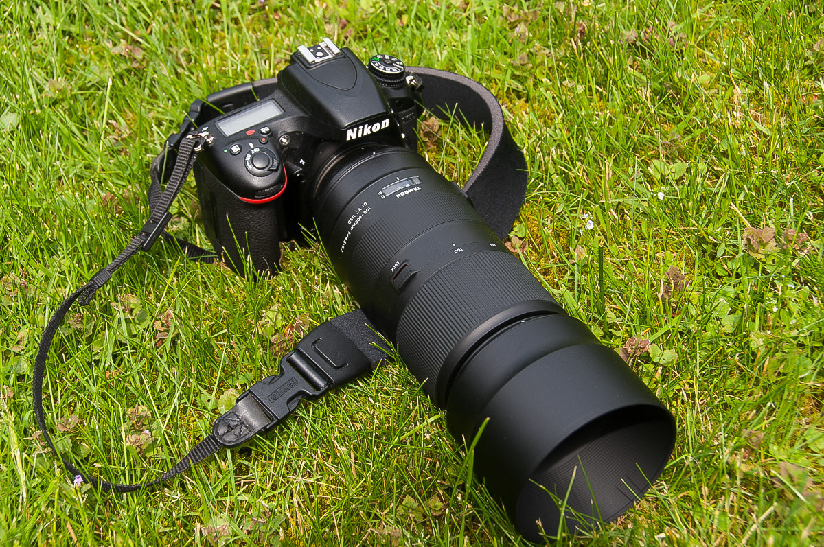 Tamron 100-400  (1 von 1).JPG