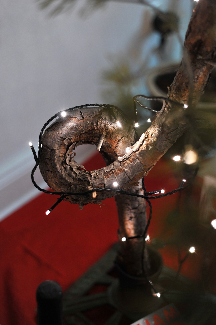 Tannenbaum 2012-2.jpg