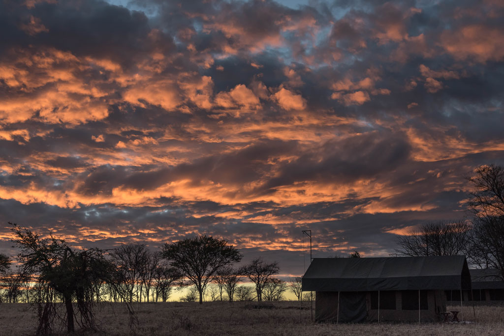 tansania serengeti sonnenaufgang