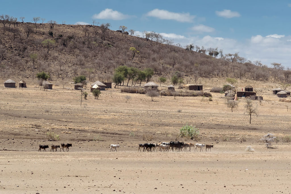 tansania weg natron 2