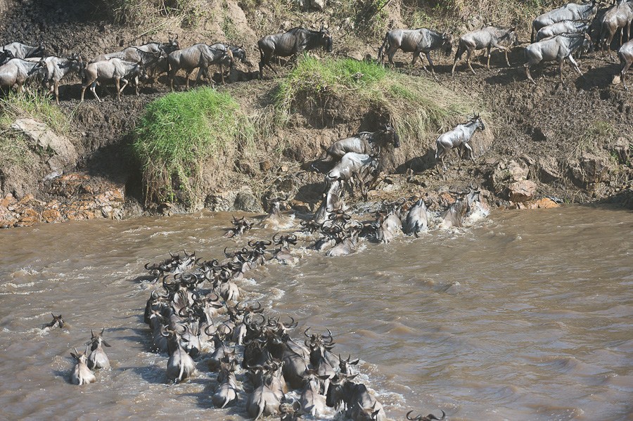 tanzania crossing2 nff 009