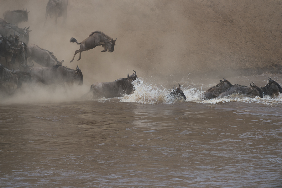 tanzania crossing3 nff 003