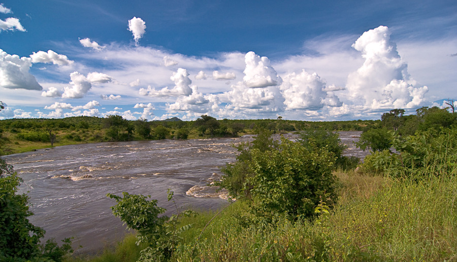 Tanzania Ruaha
