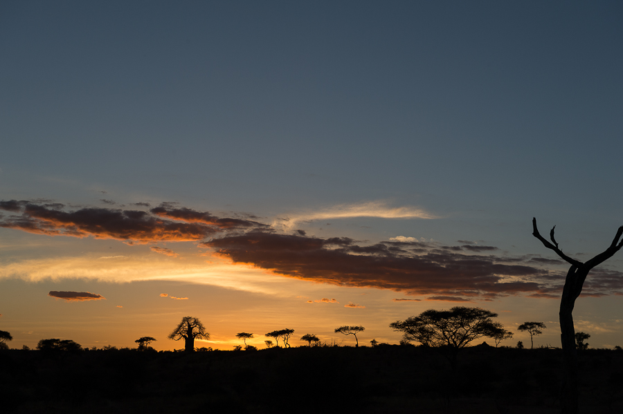 tanzania tarangire nff 002