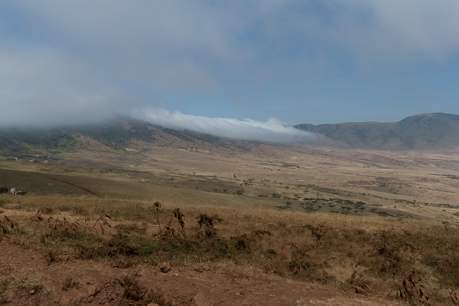 tanzania zentralserengeti nff 001