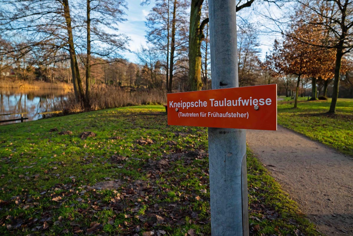 Taupetten.jpg
