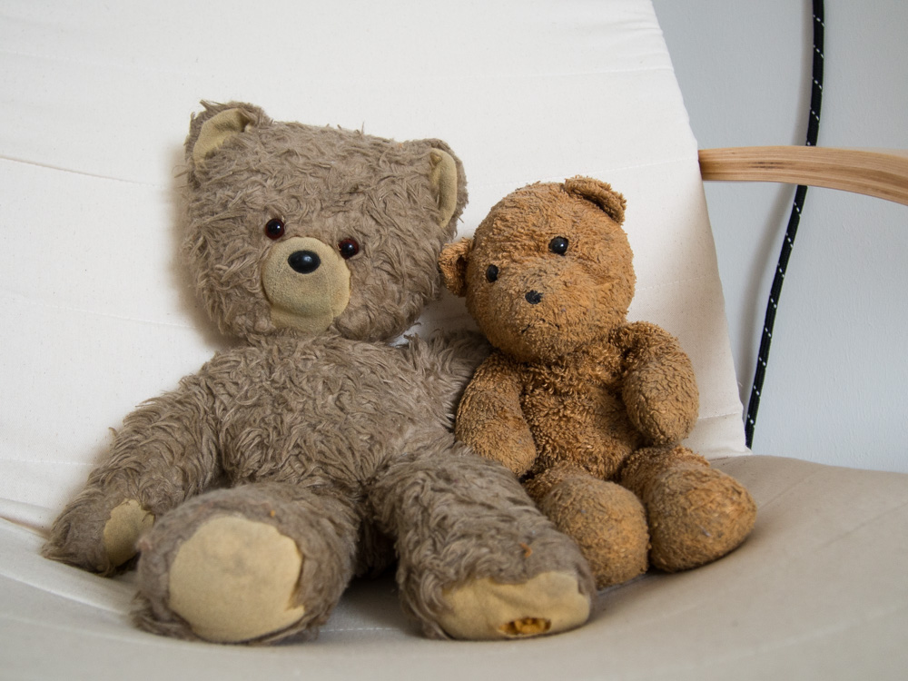 Teddy