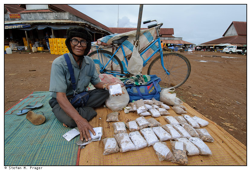 Teeverkäufer auf dem Pakxon Markt, Bolaven Plateau, Südlaos