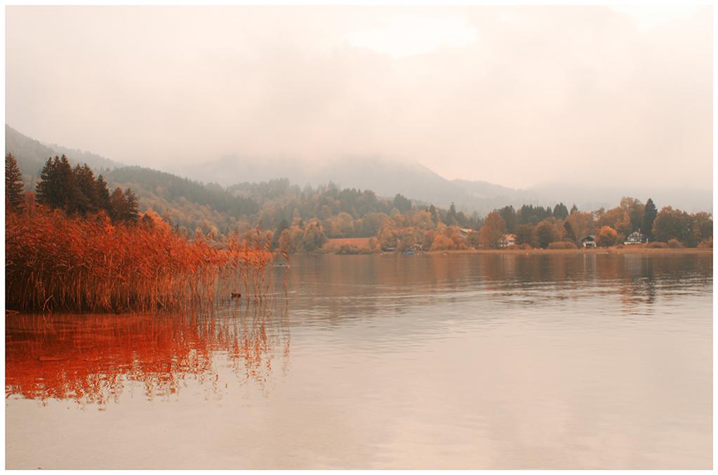 Tegernsee web