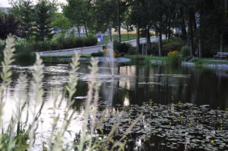 Teich an der Therme Köflach.