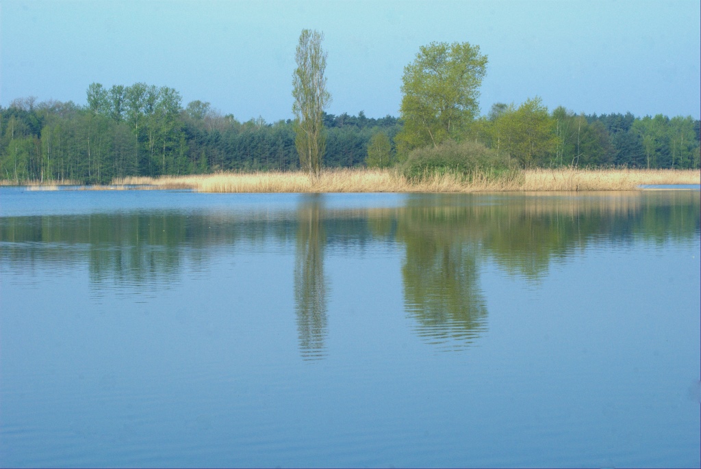 Teichansicht 2