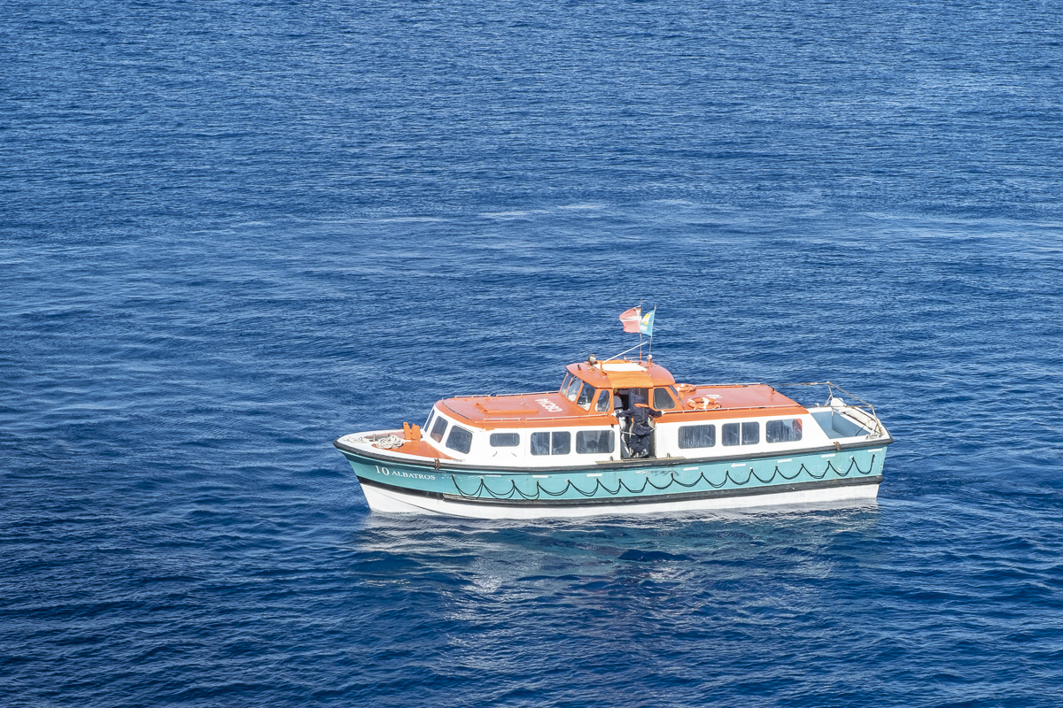 Tenderboot MC Albatros.jpg