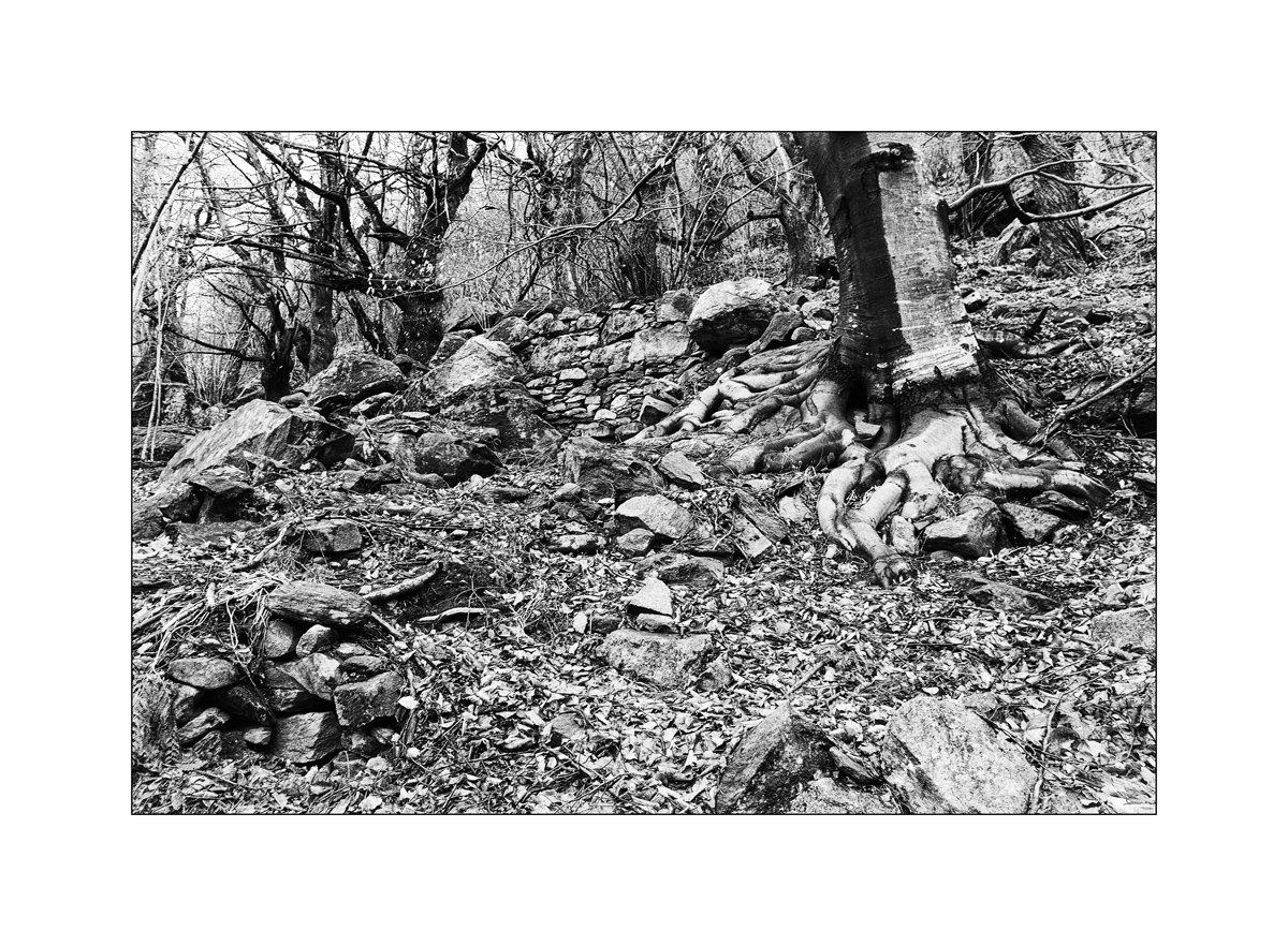 Tessin3aDSC 6733