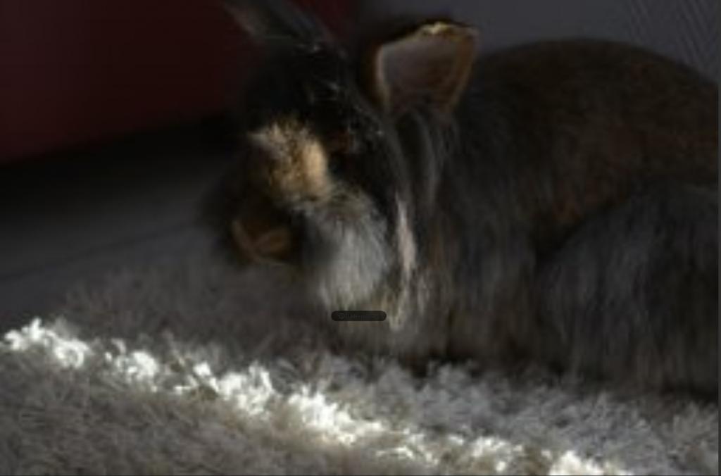 Test 1