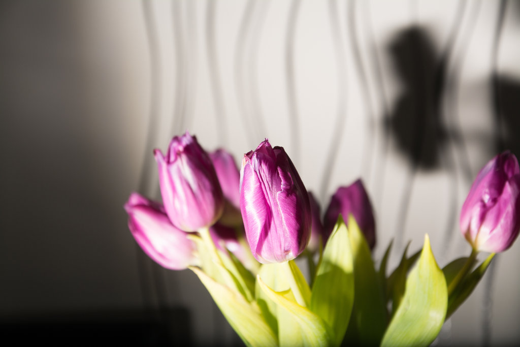test 8000sek