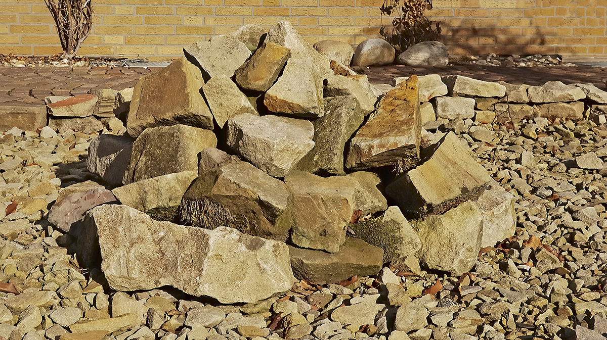 Test D1X (Sonne) DSC 1417KKxl
