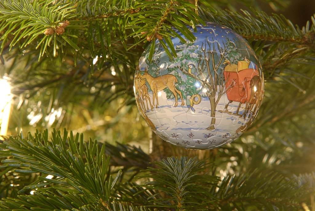 Test Dezember 20090013 001