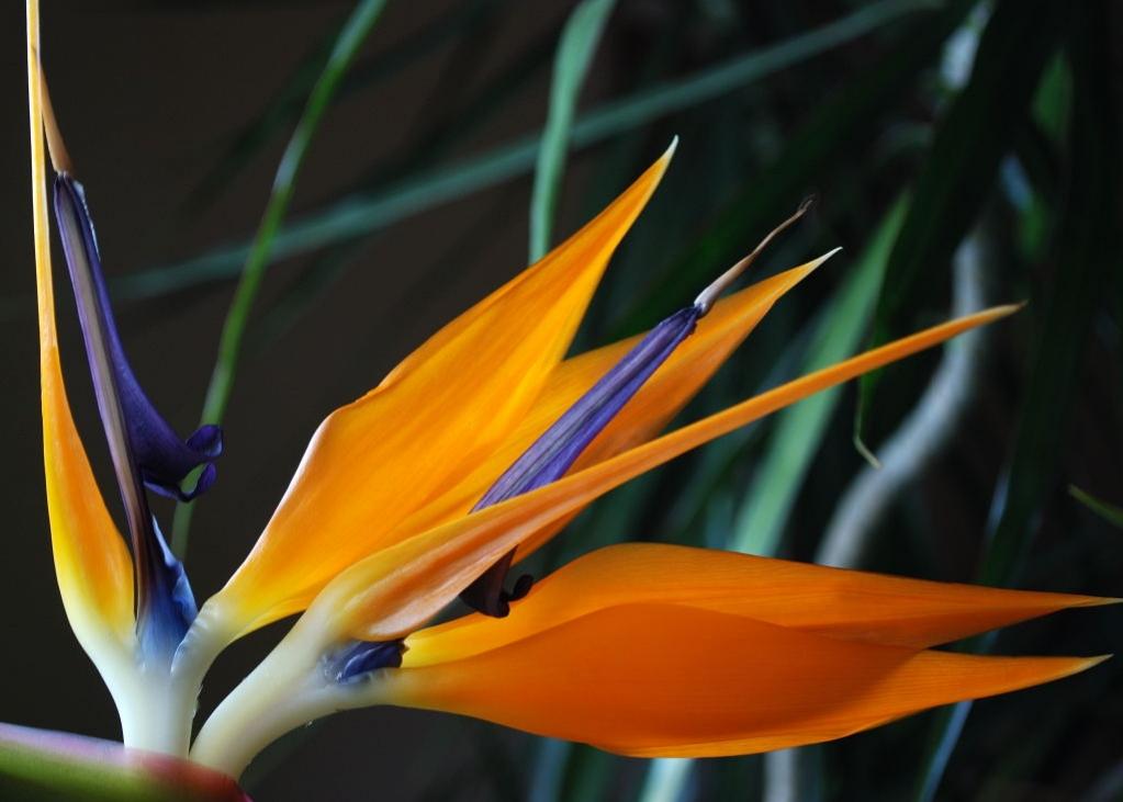 Test0050