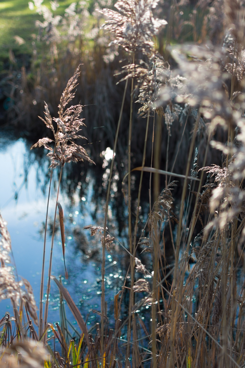 Test35mm-2m.jpg