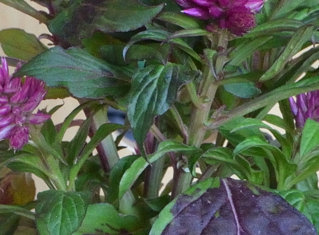 test5 (1) 18 55 MF