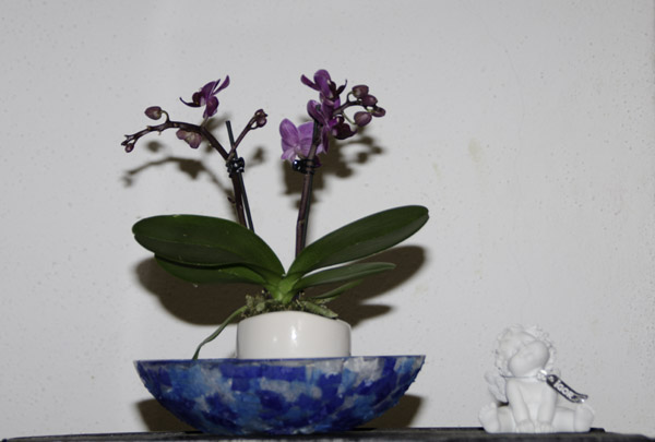 testbild1