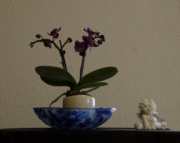 testbild3
