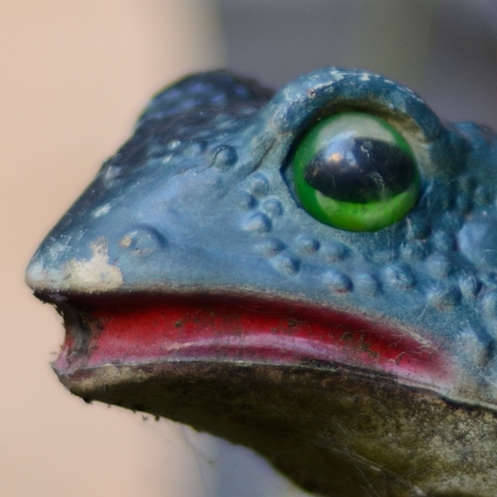 Testfrosch 1,4