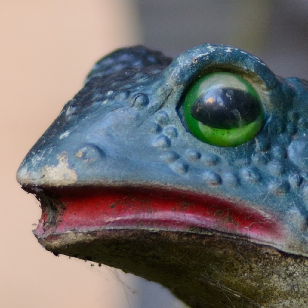 Testfrosch 2