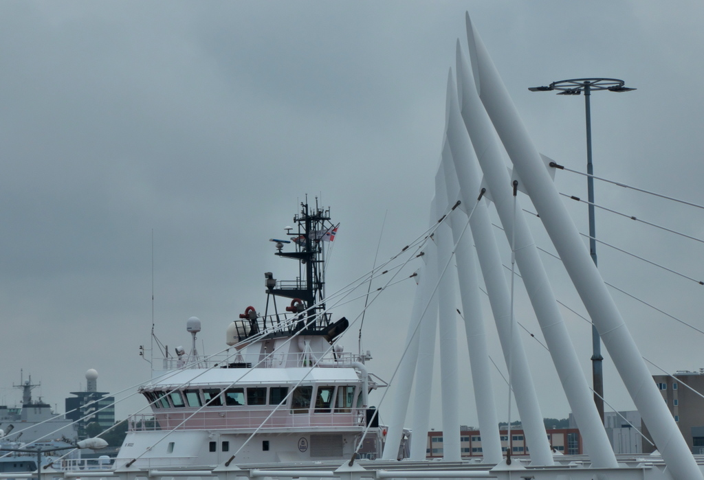 Texel 2021-002.jpg