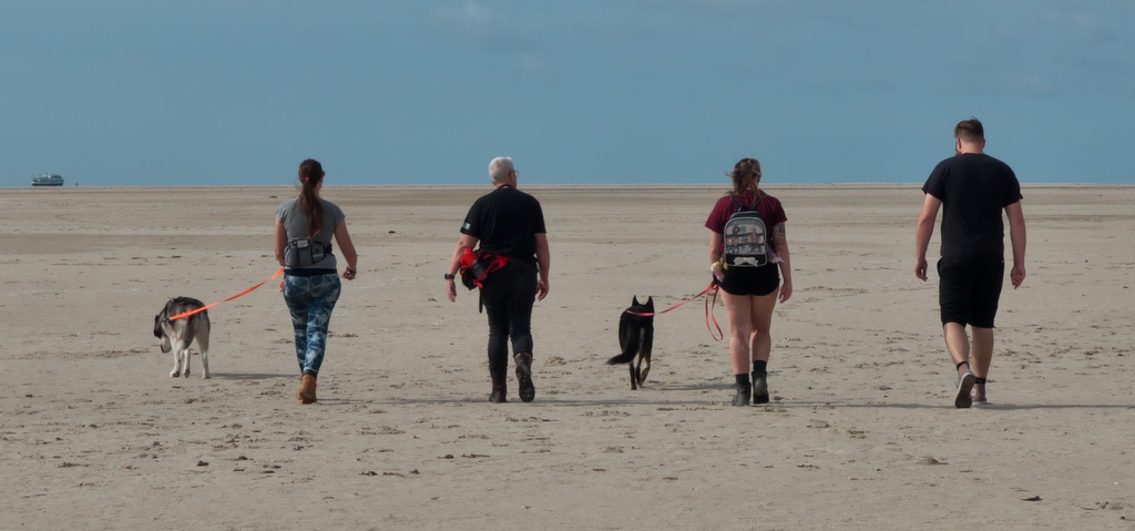 Texel 2021-015.jpg