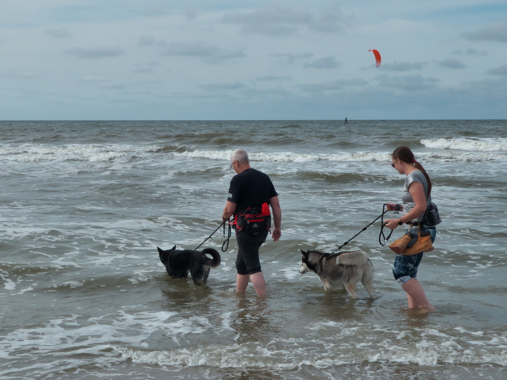 Texel 2021-019.jpg