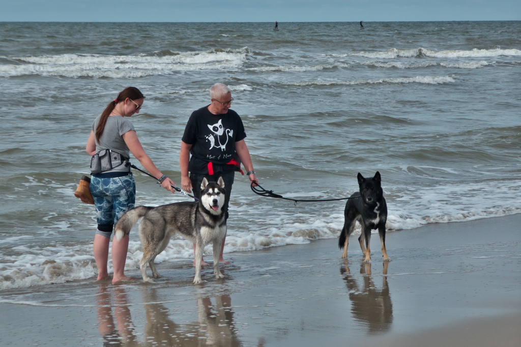 Texel 2021-021.jpg
