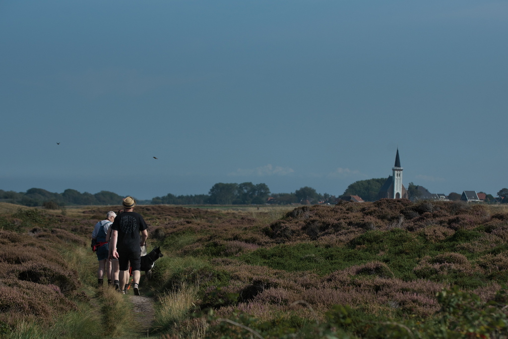 Texel 2021-088.jpg