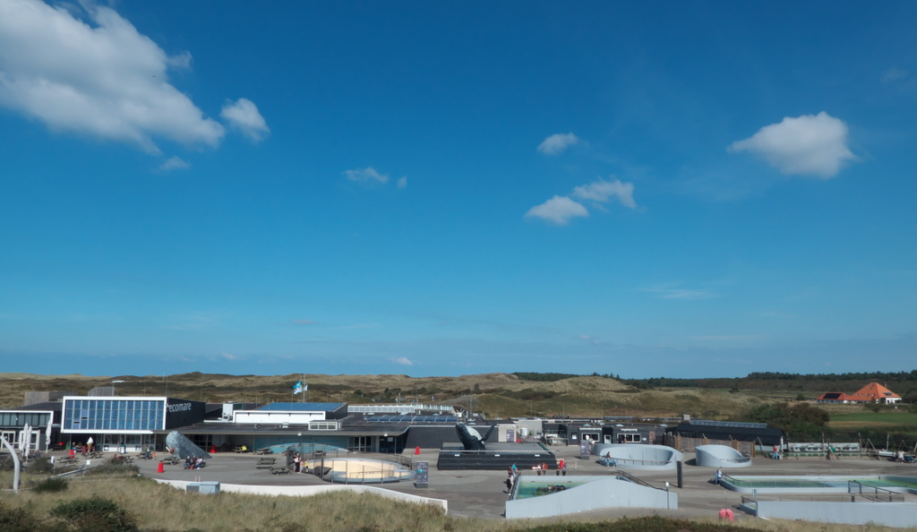 Texel 2021-120.jpg