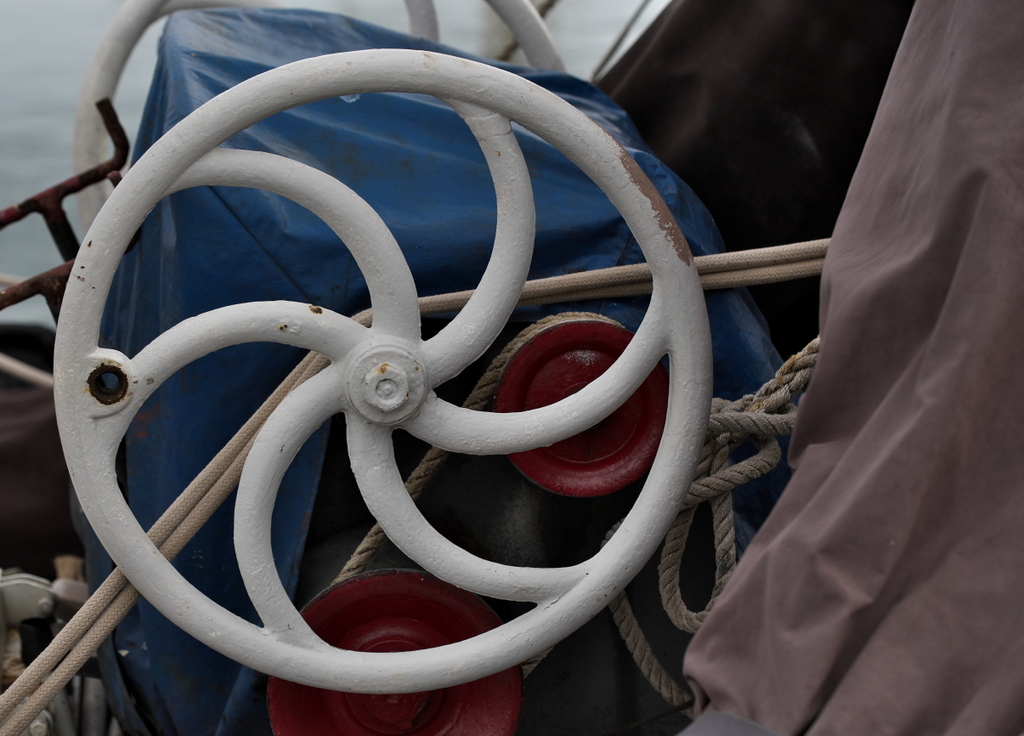 Texel 2021-136.jpg