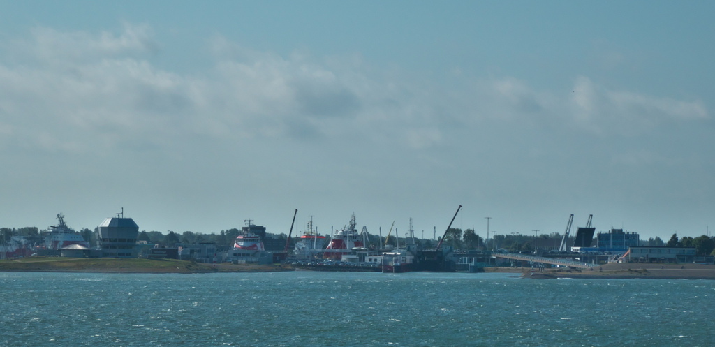 Texel 2021-150.jpg