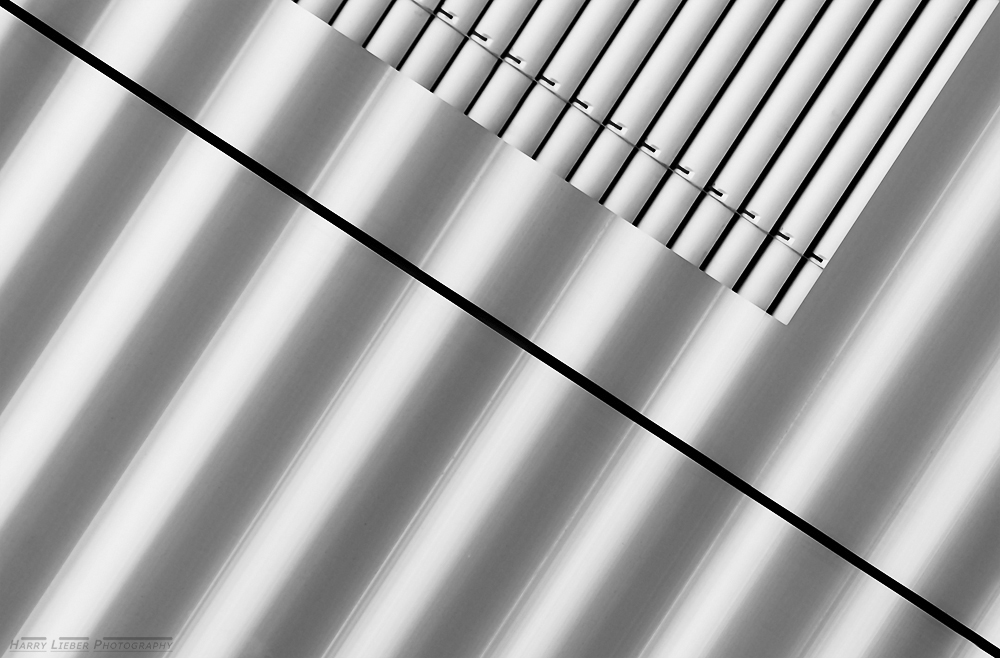 the black line